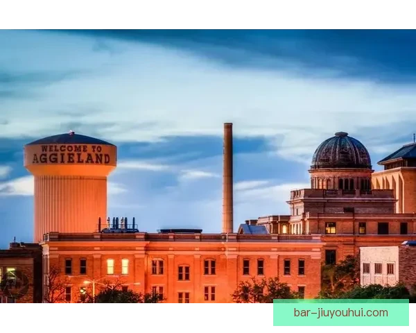 2026世界杯休斯顿赛区将增设专线地铁提升交通便利性