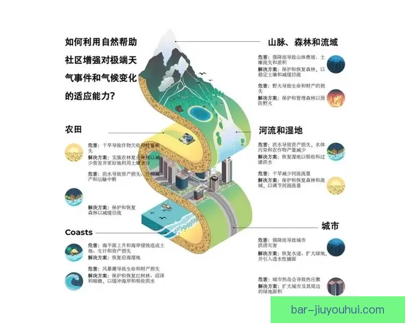 国家队核心球员伤停情况下的战术调整与人员替代应对指南